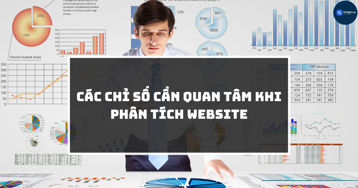 Các chỉ số cần quan tâm khi phân tích website